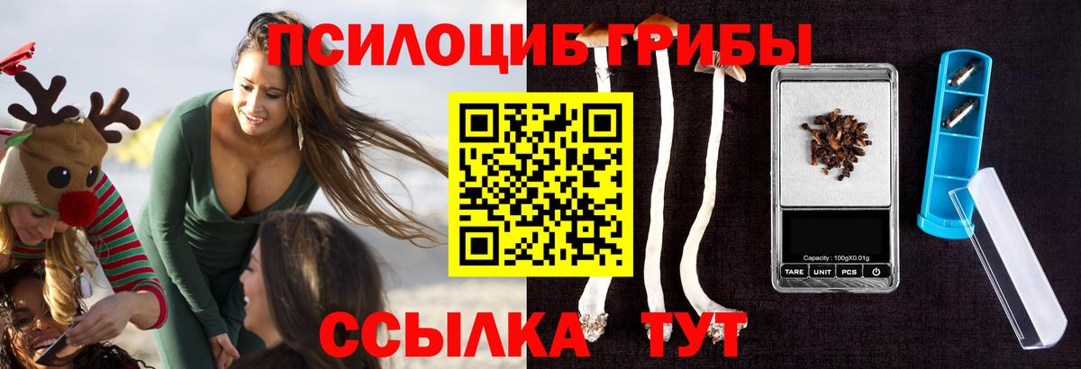 Псилоцибиновые грибы MAGIC MUSHROOMS  Вход с VPN  цена   Ливны 