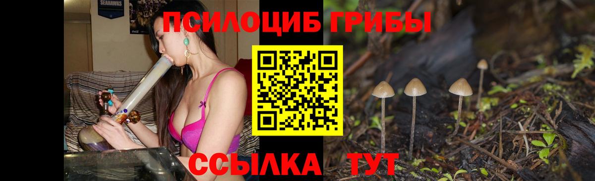 Псилоцибиновые грибы Psilocybe Ливны
